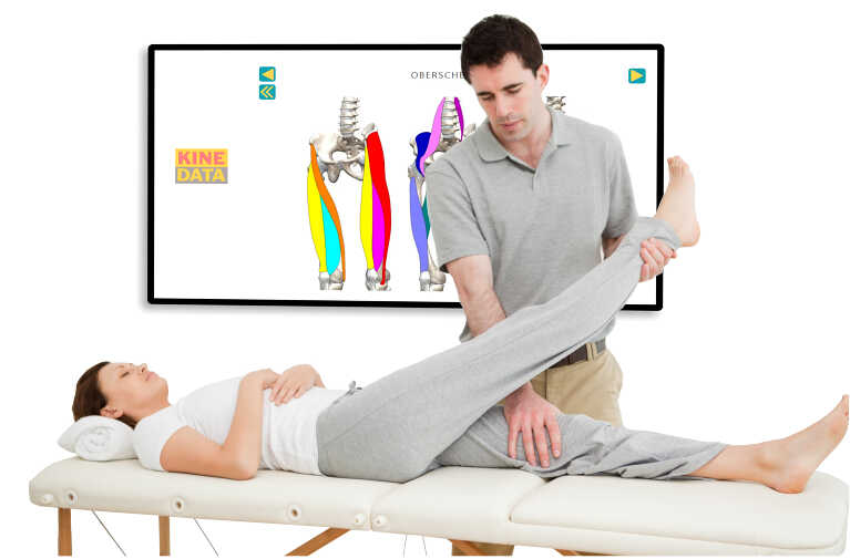 KINEDATA Kinesiologie Session